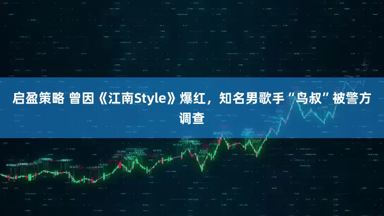 启盈策略 曾因《江南Style》爆红，知名男歌手“鸟叔”被警方调查
