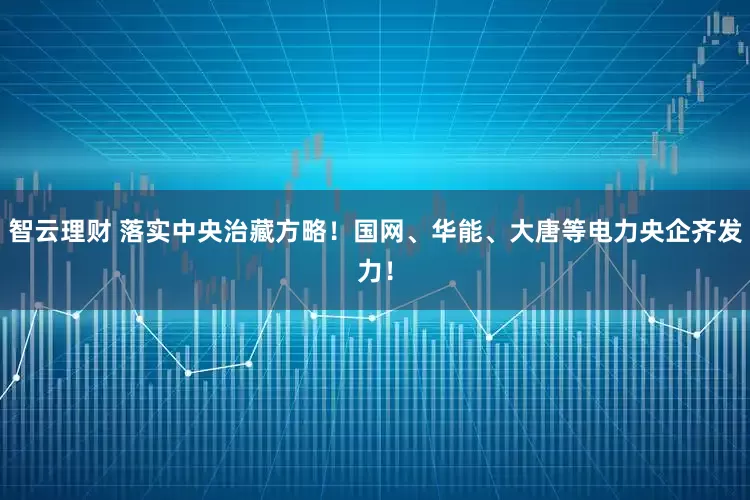 智云理财 落实中央治藏方略！国网、华能、大唐等电力央企齐发力！
