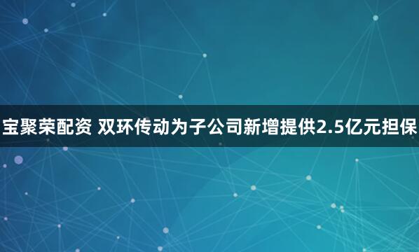宝聚荣配资 双环传动为子公司新增提供2.5亿元担保
