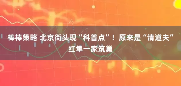 棒棒策略 北京街头现“科普点”！原来是“清道夫”红隼一家筑巢